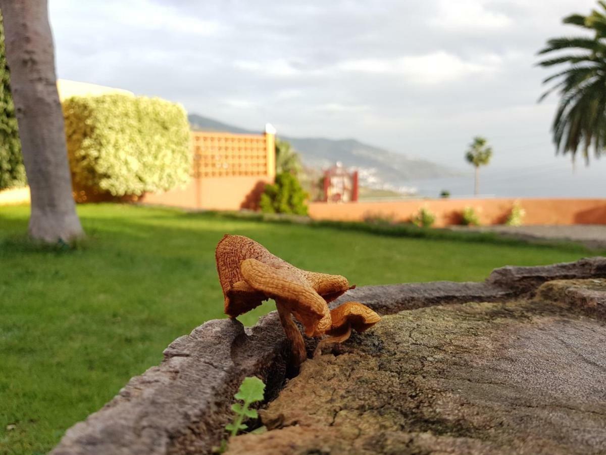 Pensjonat Casa Cruz Breña Baja Zewnętrze zdjęcie